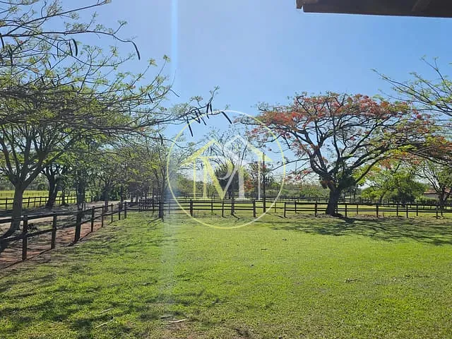 Haras com 774400m² 10 quartos e 12 banheiros, à venda, no bairro Centro em Cesário Lange