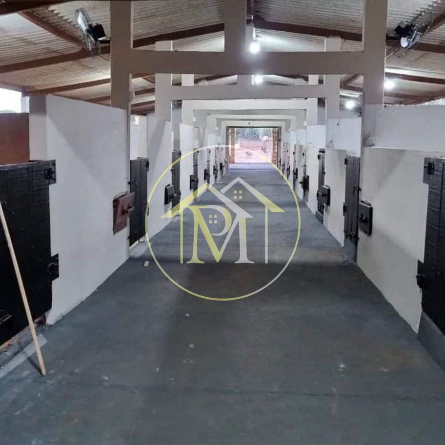 Sítio, 1 quarto, 10 hectares - Foto 1