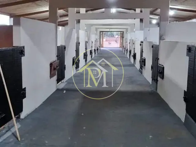 Haras com 99000m² 1 quarto e 3 banheiros, à venda, no bairro Rural em Miguelópolis