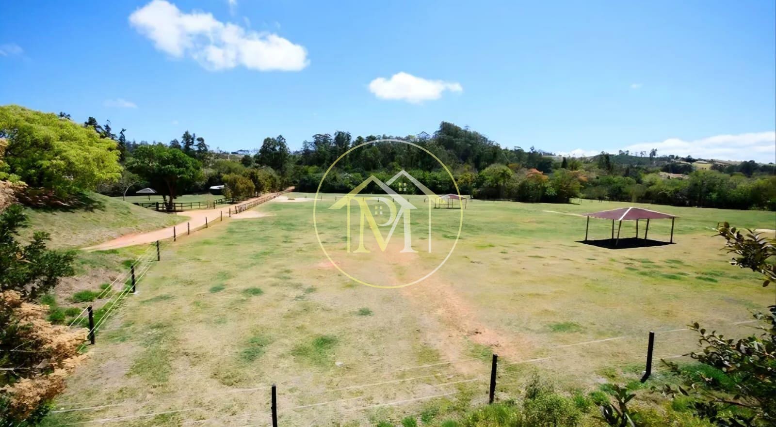 Fazenda, 39 hectares - Foto 3