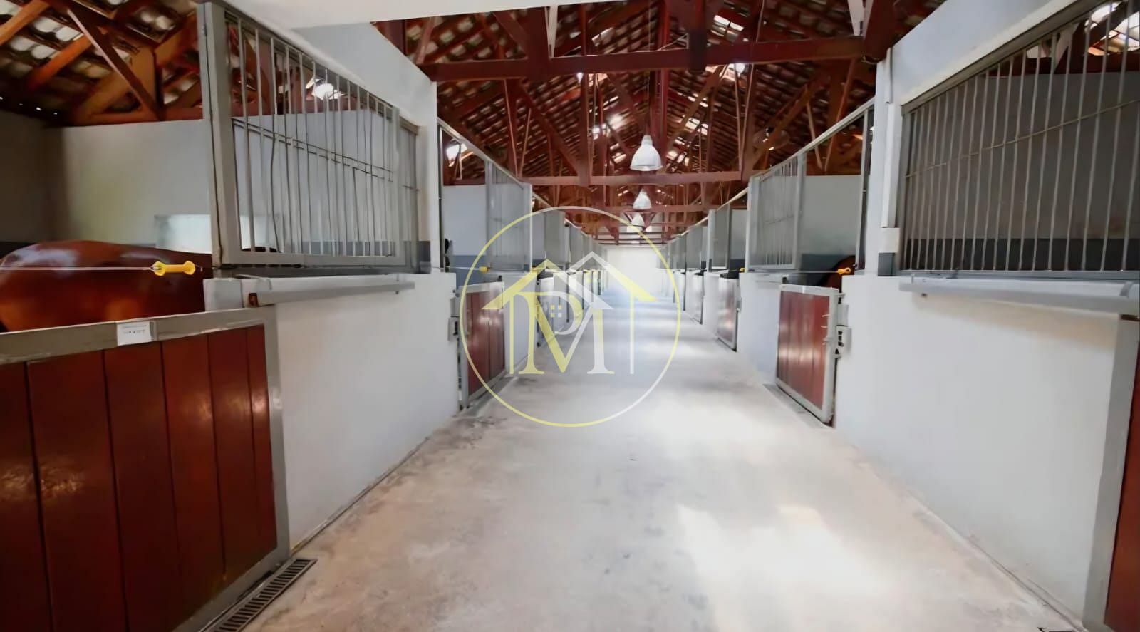 Fazenda, 39 hectares - Foto 1