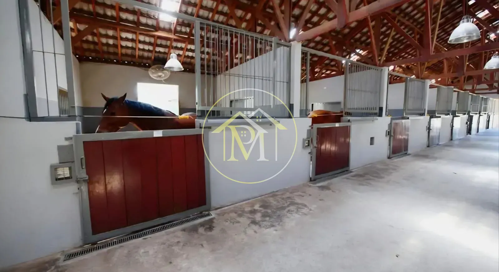 Fazenda, 39 hectares - Foto 10