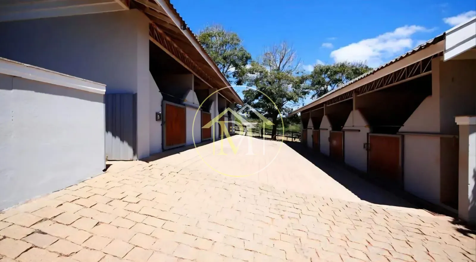 Fazenda, 39 hectares - Foto 26