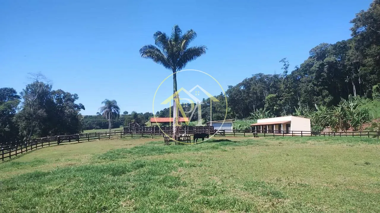 Fazenda, 21 hectares - Foto 12
