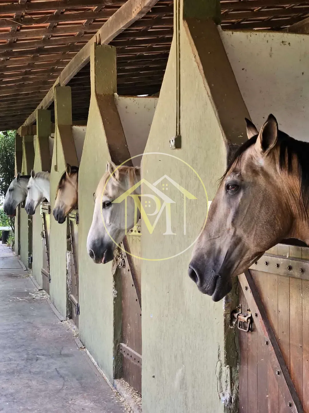 Fazenda, 11 hectares - Foto 11