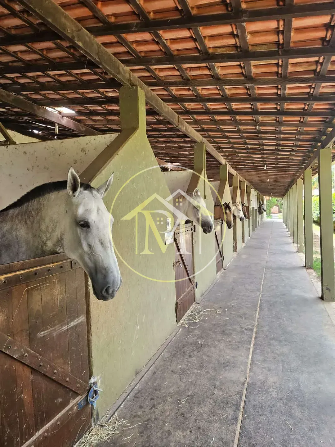 Fazenda, 11 hectares - Foto 1