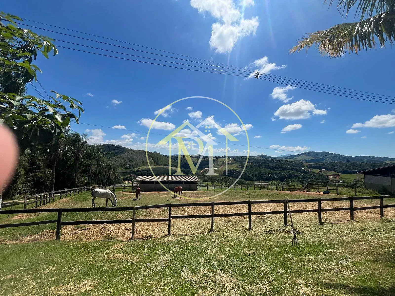 Fazenda, 11 hectares - Foto 62