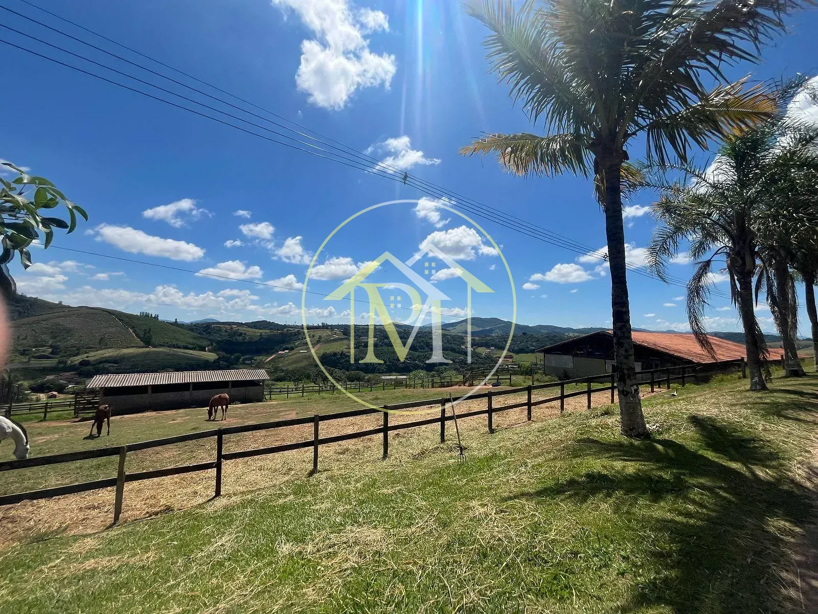 Fazenda, 11 hectares - Foto 63