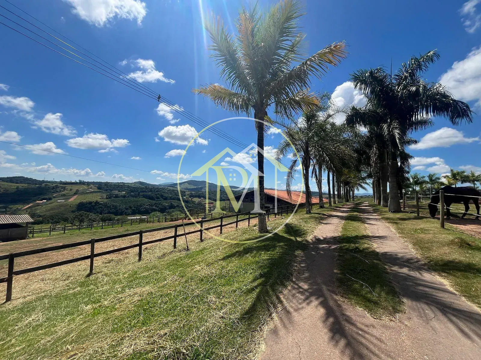 Fazenda, 11 hectares - Foto 64