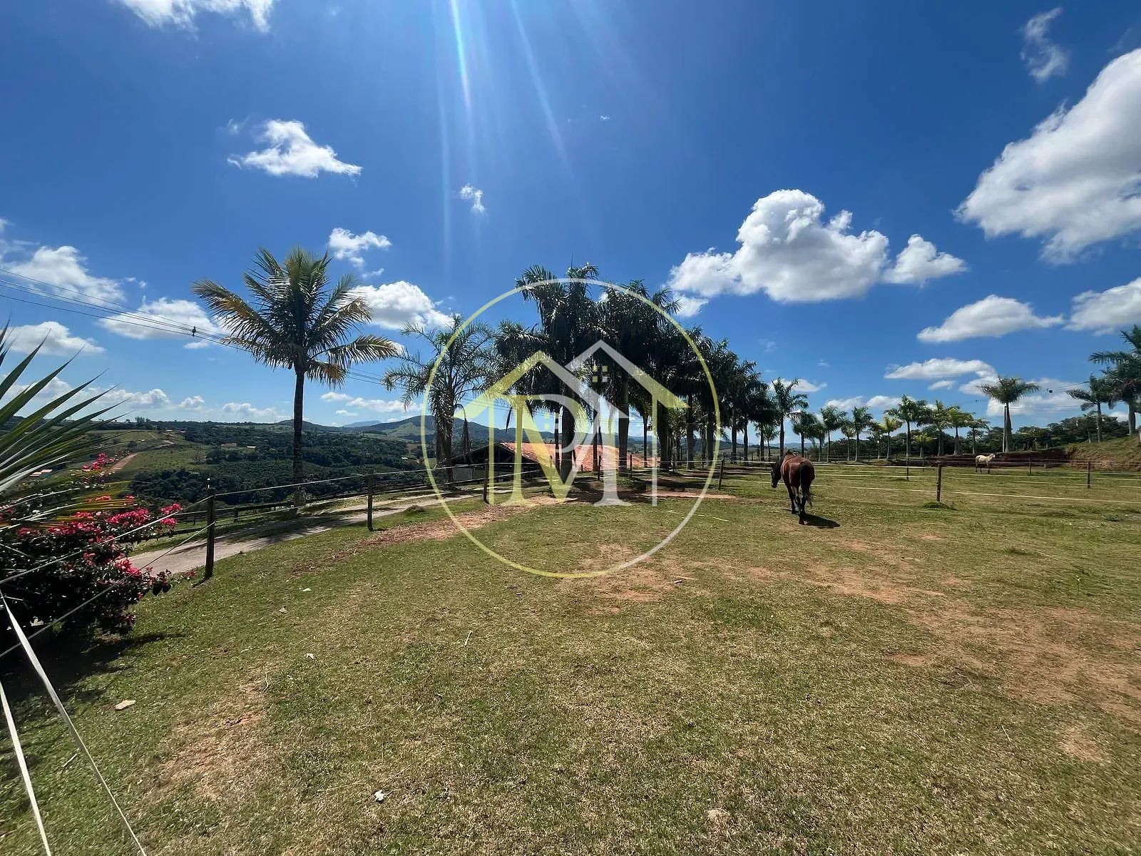 Fazenda, 11 hectares - Foto 66