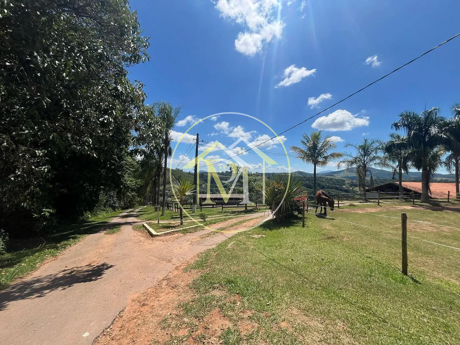 Fazenda, 11 hectares - Foto 67