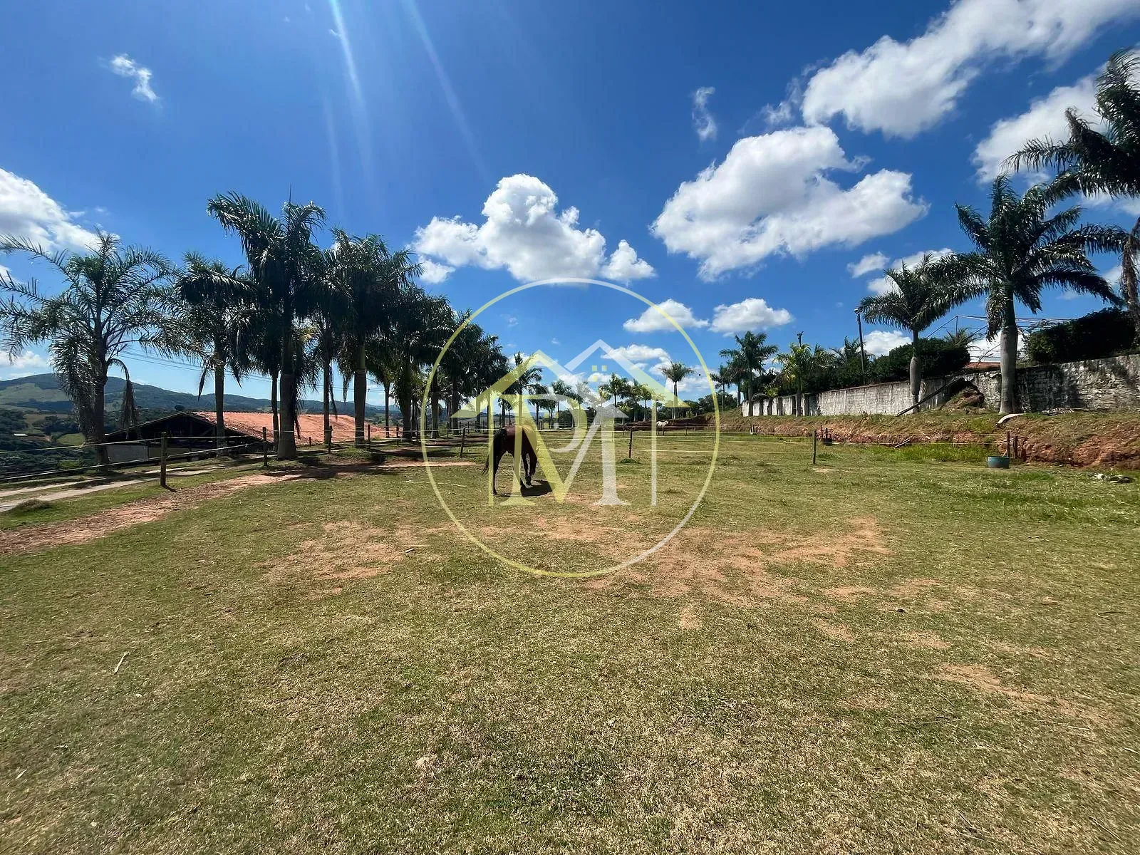 Fazenda, 11 hectares - Foto 71