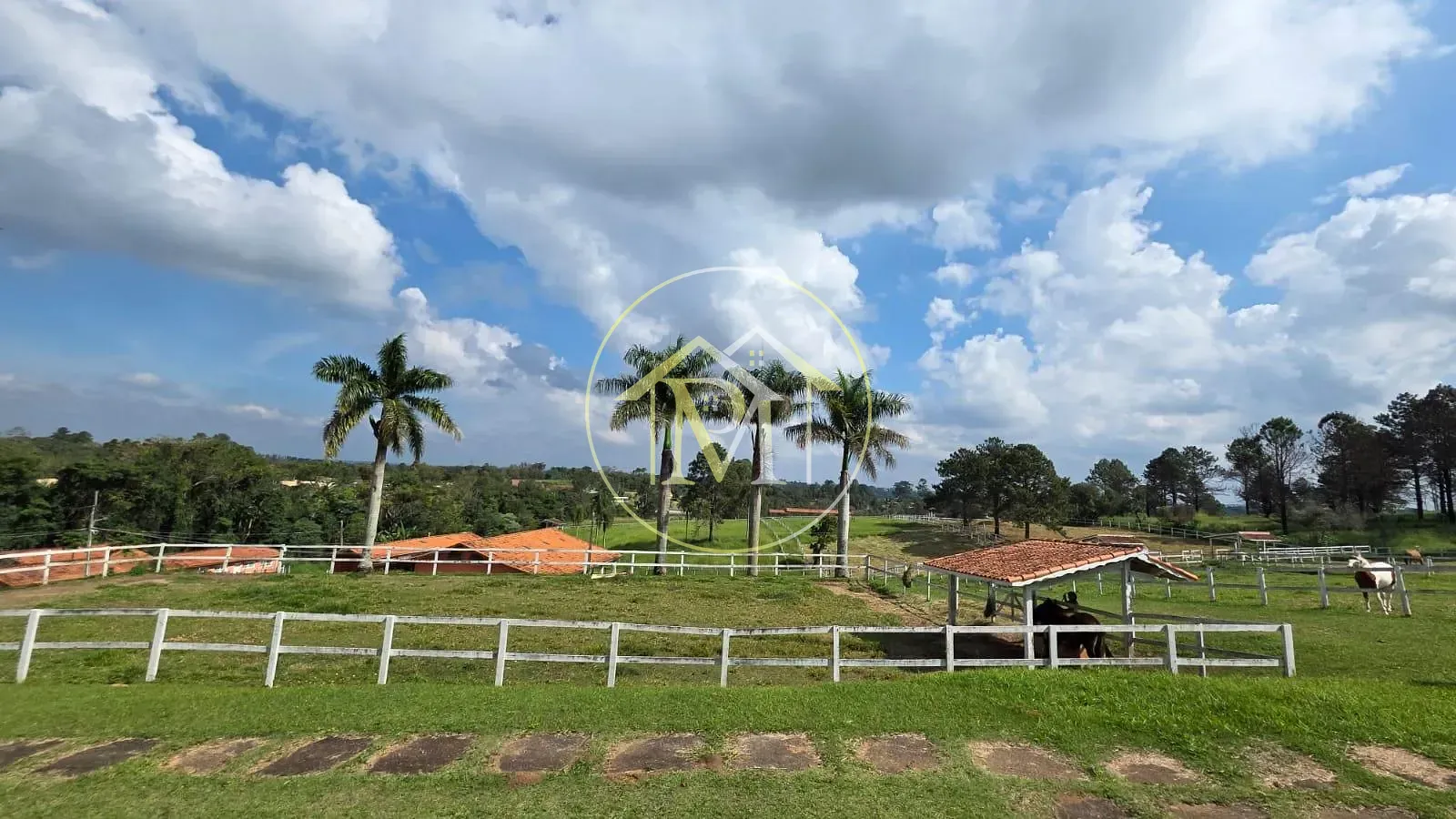 Fazenda, 11 hectares - Foto 3
