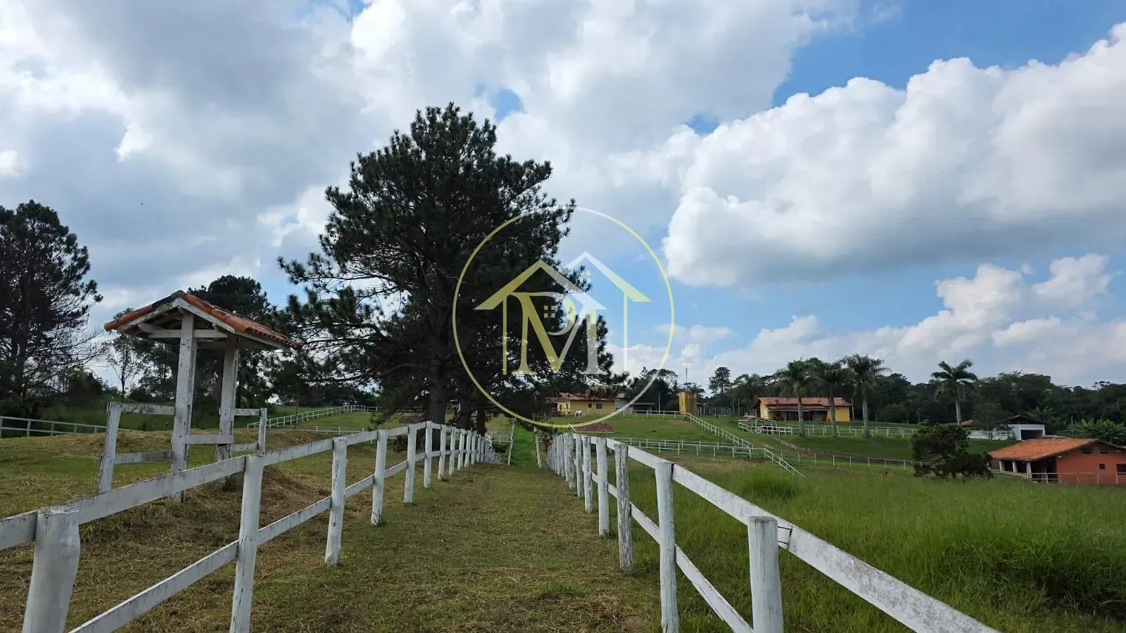 Fazenda, 11 hectares - Foto 6