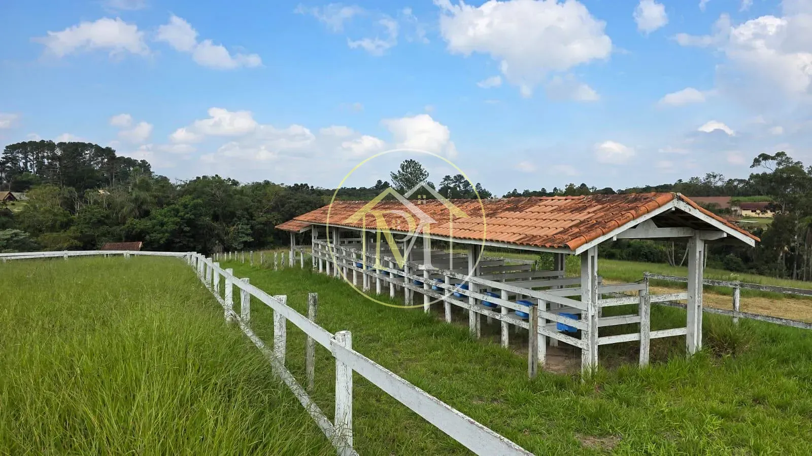 Fazenda, 11 hectares - Foto 7