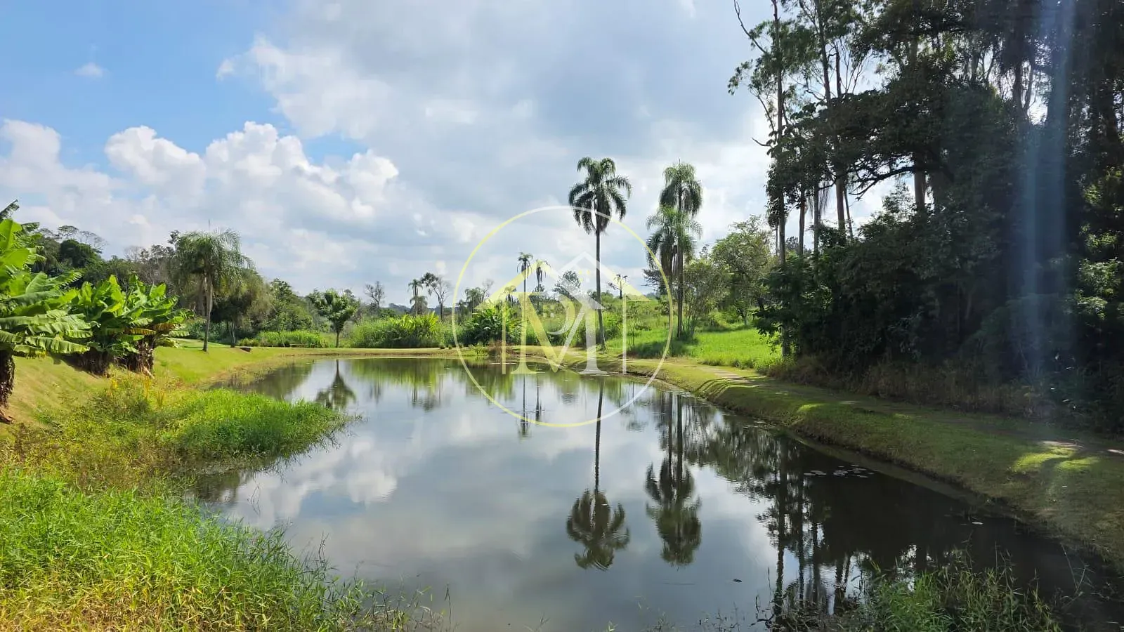 Fazenda, 11 hectares - Foto 10