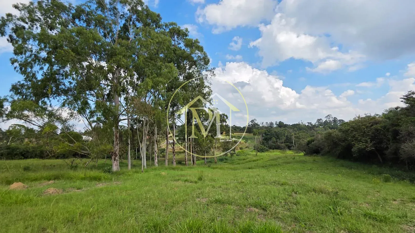 Fazenda, 11 hectares - Foto 11