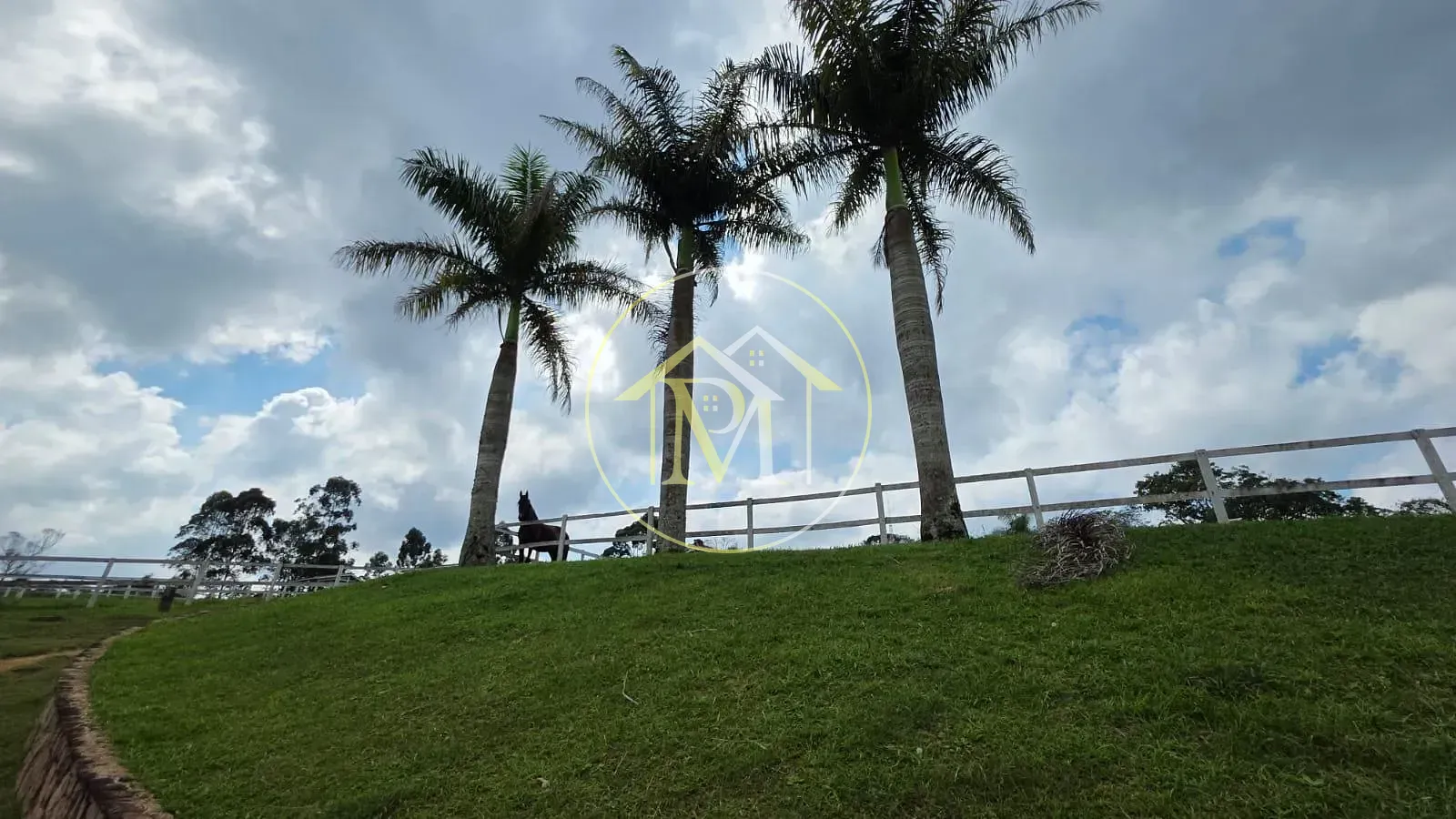 Fazenda, 11 hectares - Foto 15