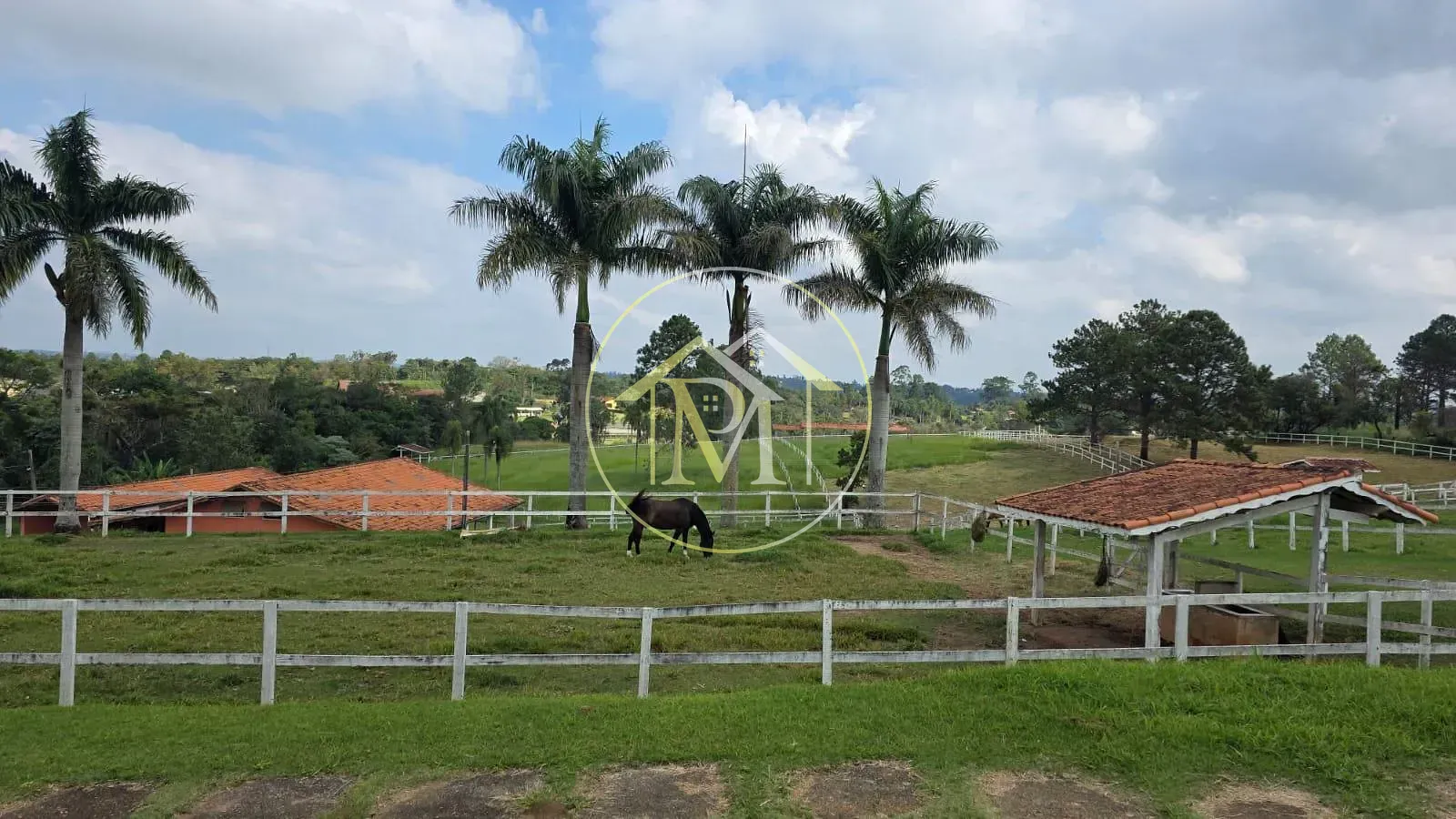 Fazenda, 11 hectares - Foto 27