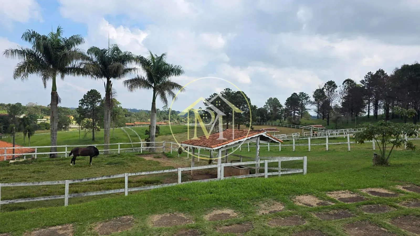 Fazenda, 11 hectares - Foto 29