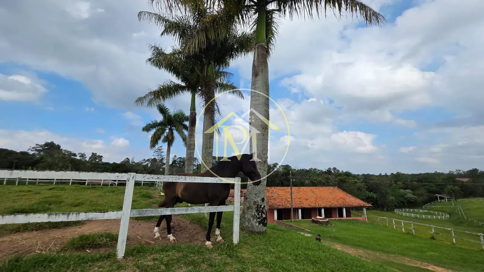 Fazenda, 11 hectares - Foto 31