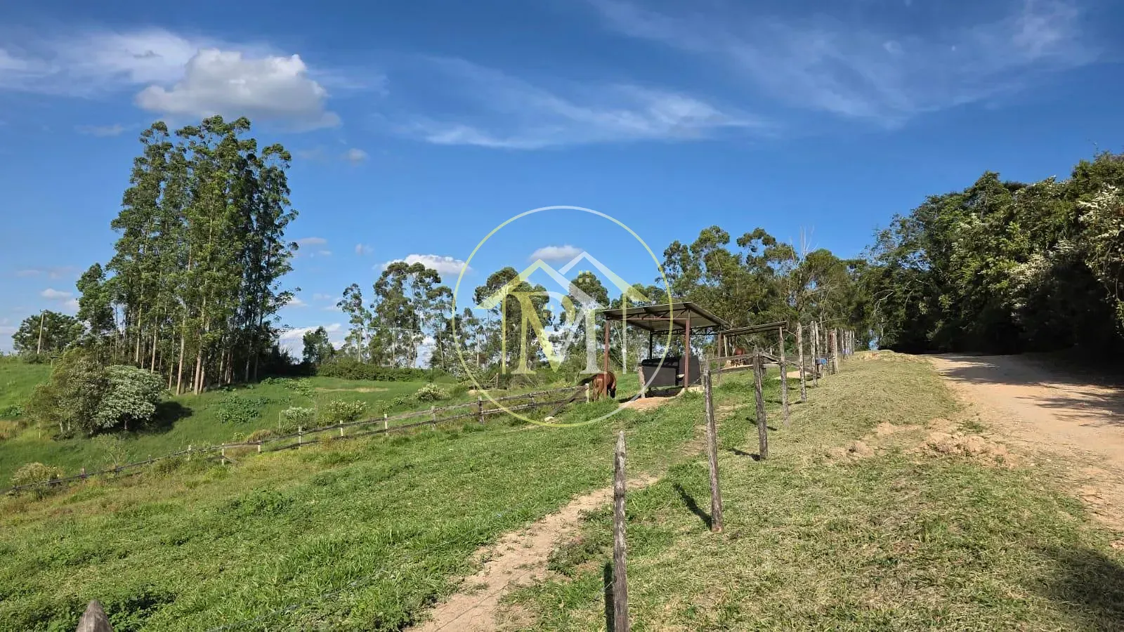 Fazenda, 6 hectares - Foto 2