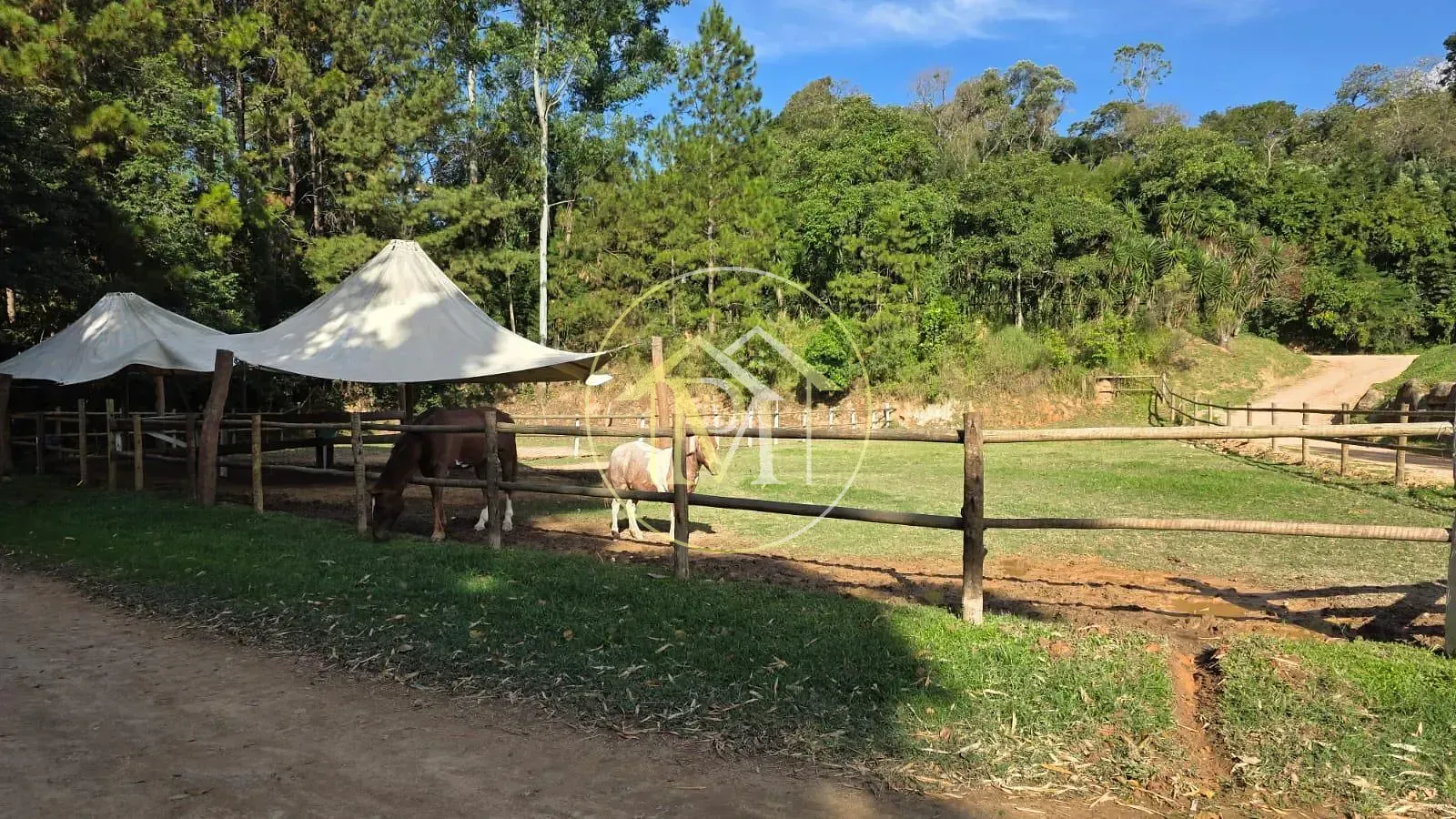 Fazenda, 6 hectares - Foto 8