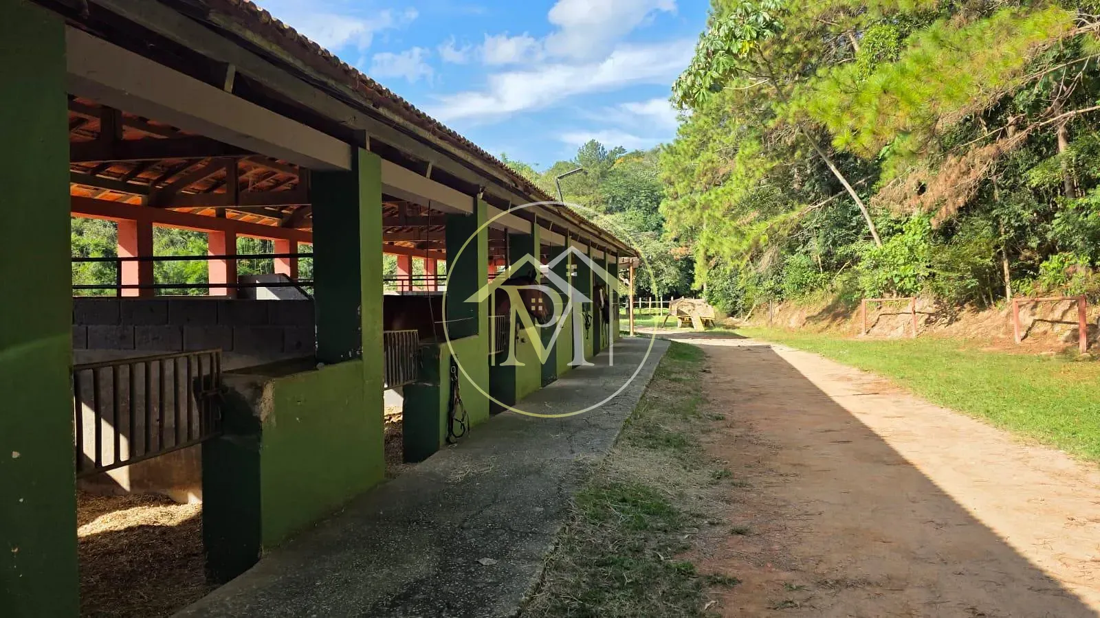 Fazenda, 6 hectares - Foto 10