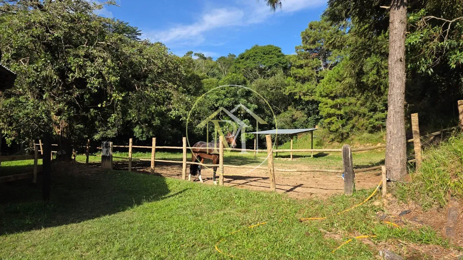 Fazenda, 6 hectares - Foto 12