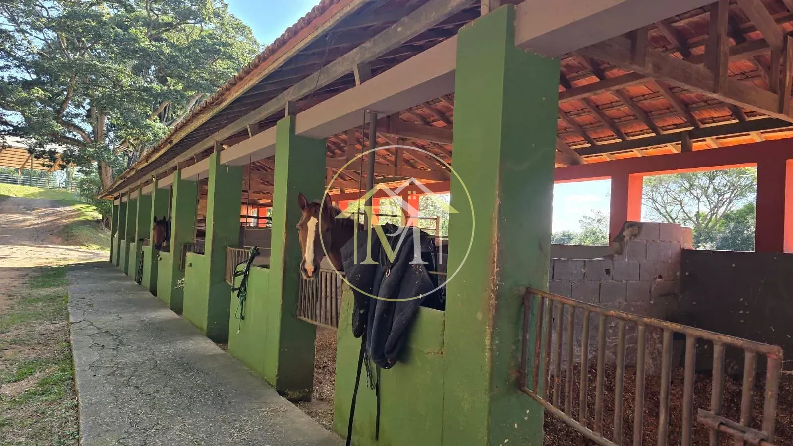 Fazenda, 6 hectares - Foto 17