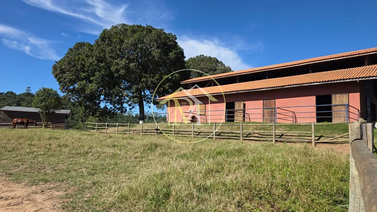 Sítio, 5 quartos, 5 hectares - Foto 28