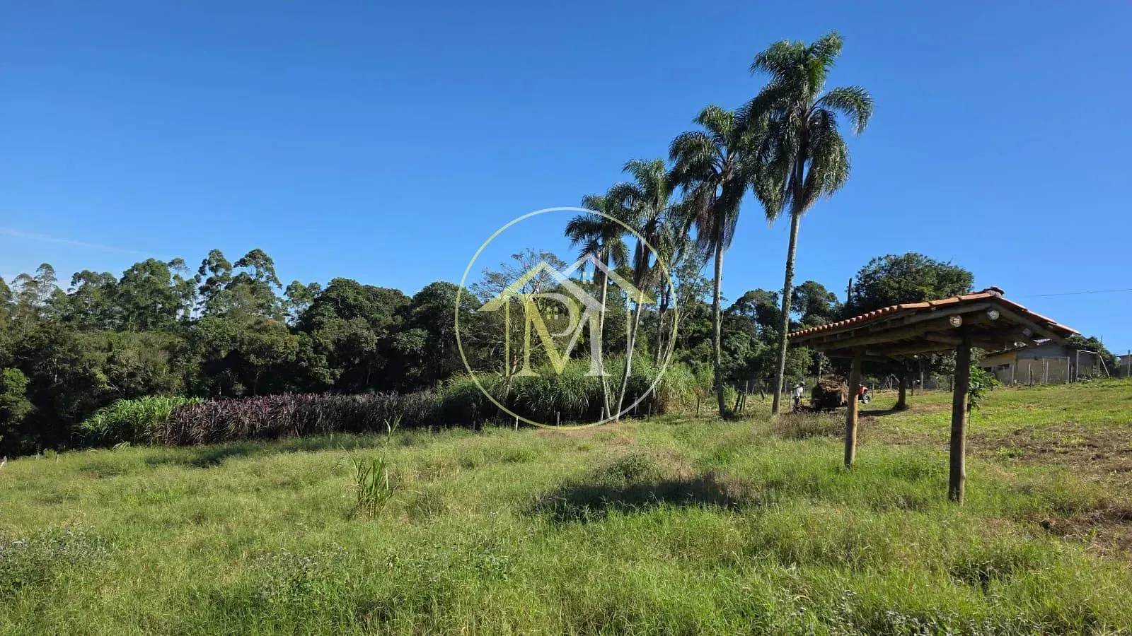 Sítio, 5 quartos, 5 hectares - Foto 39