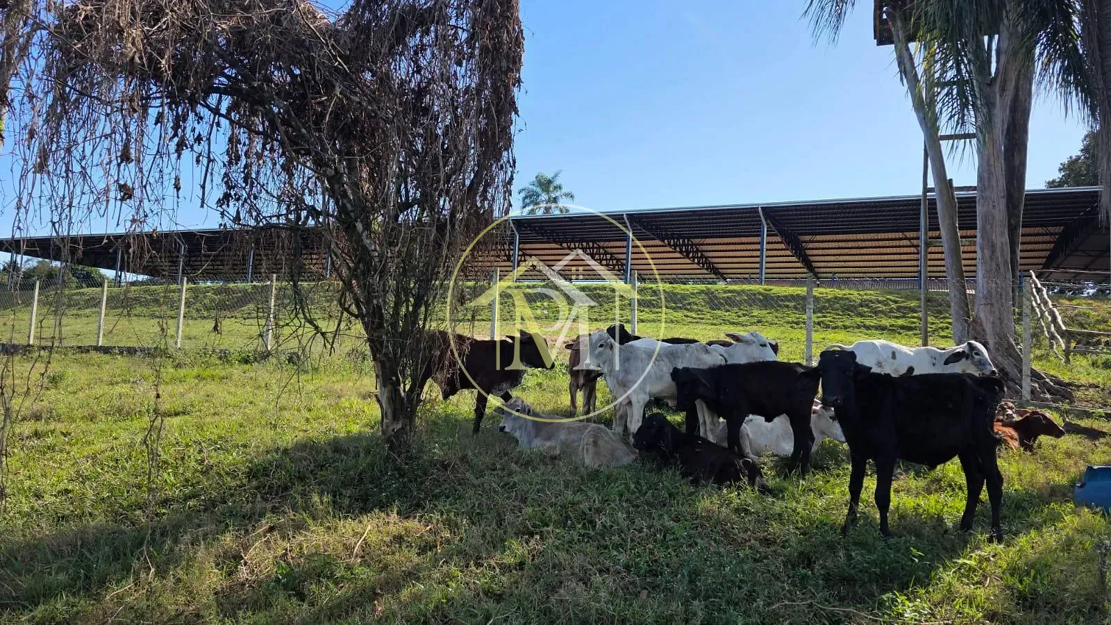 Sítio, 5 quartos, 5 hectares - Foto 42
