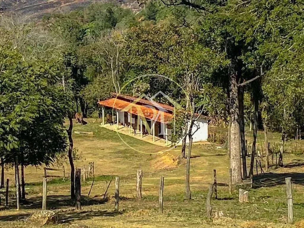 Fazenda, 6 hectares - Foto 9