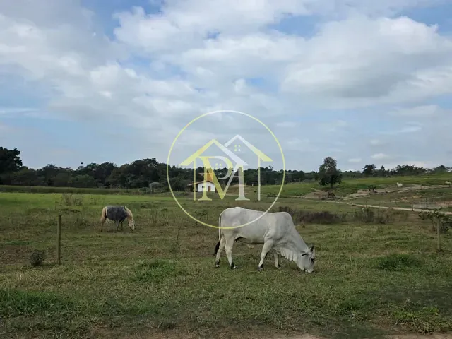 Haras com 65900m² 2 quartos e 4 banheiros, à venda, no bairro Área rural em Porto Feliz