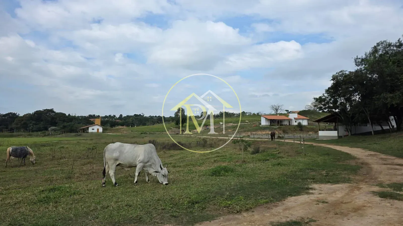 Sítio, 2 quartos, 7 hectares - Foto 8