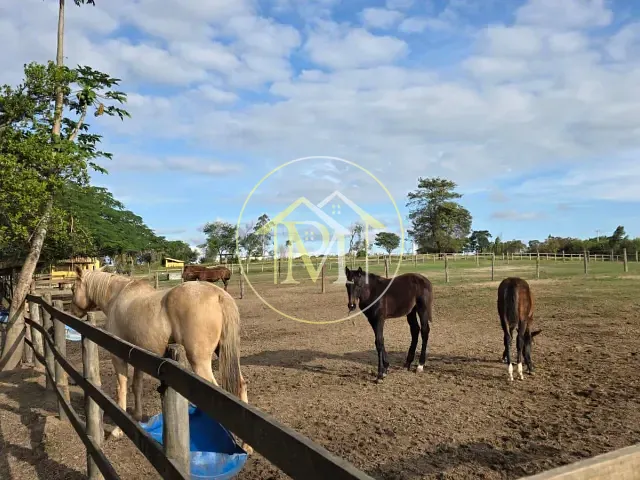 Haras com 278300m² 2 quartos e 2 banheiros, à venda, no bairro Área rural em Itu