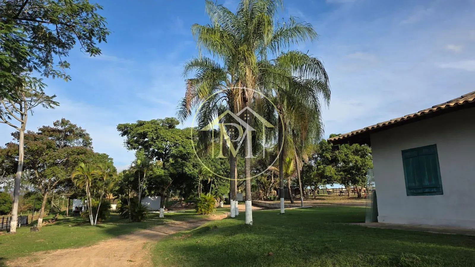 Fazenda, 28 hectares - Foto 22