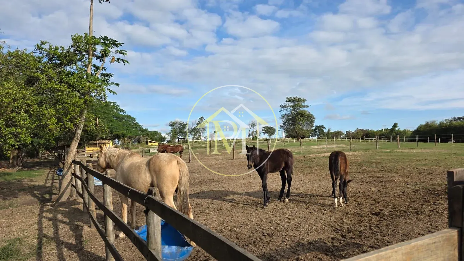 Fazenda, 28 hectares - Foto 4