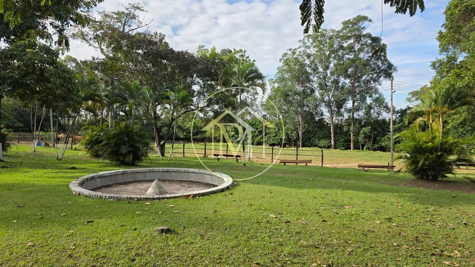 Fazenda, 28 hectares - Foto 7