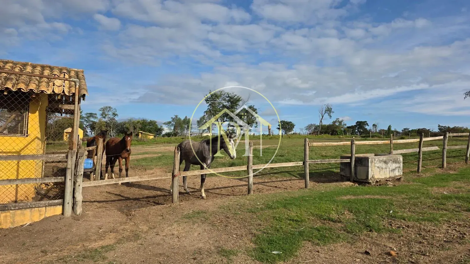 Fazenda, 28 hectares - Foto 9
