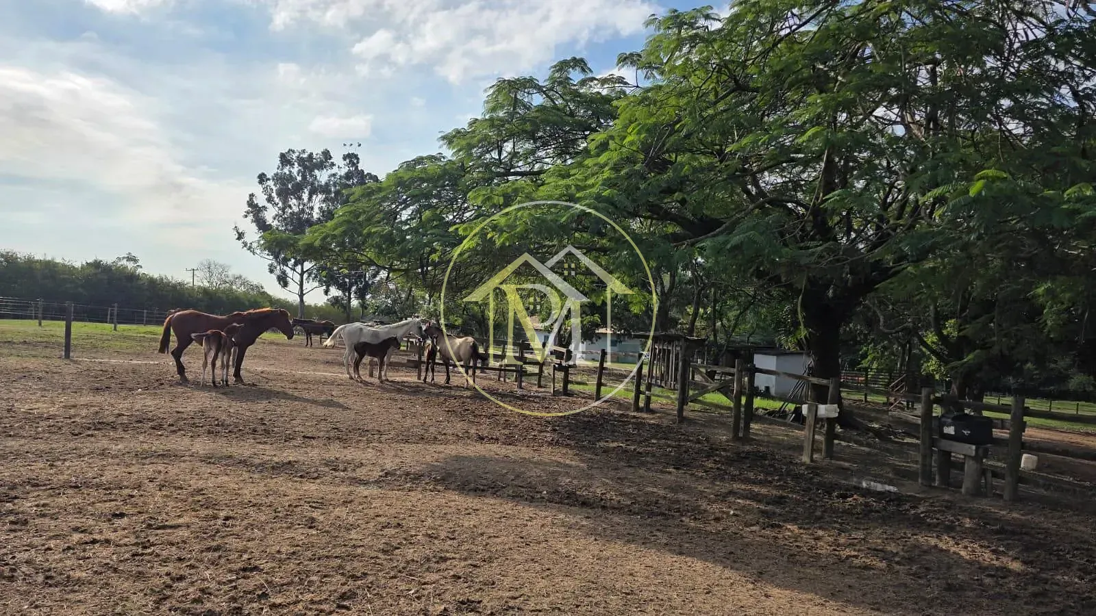 Fazenda, 28 hectares - Foto 10