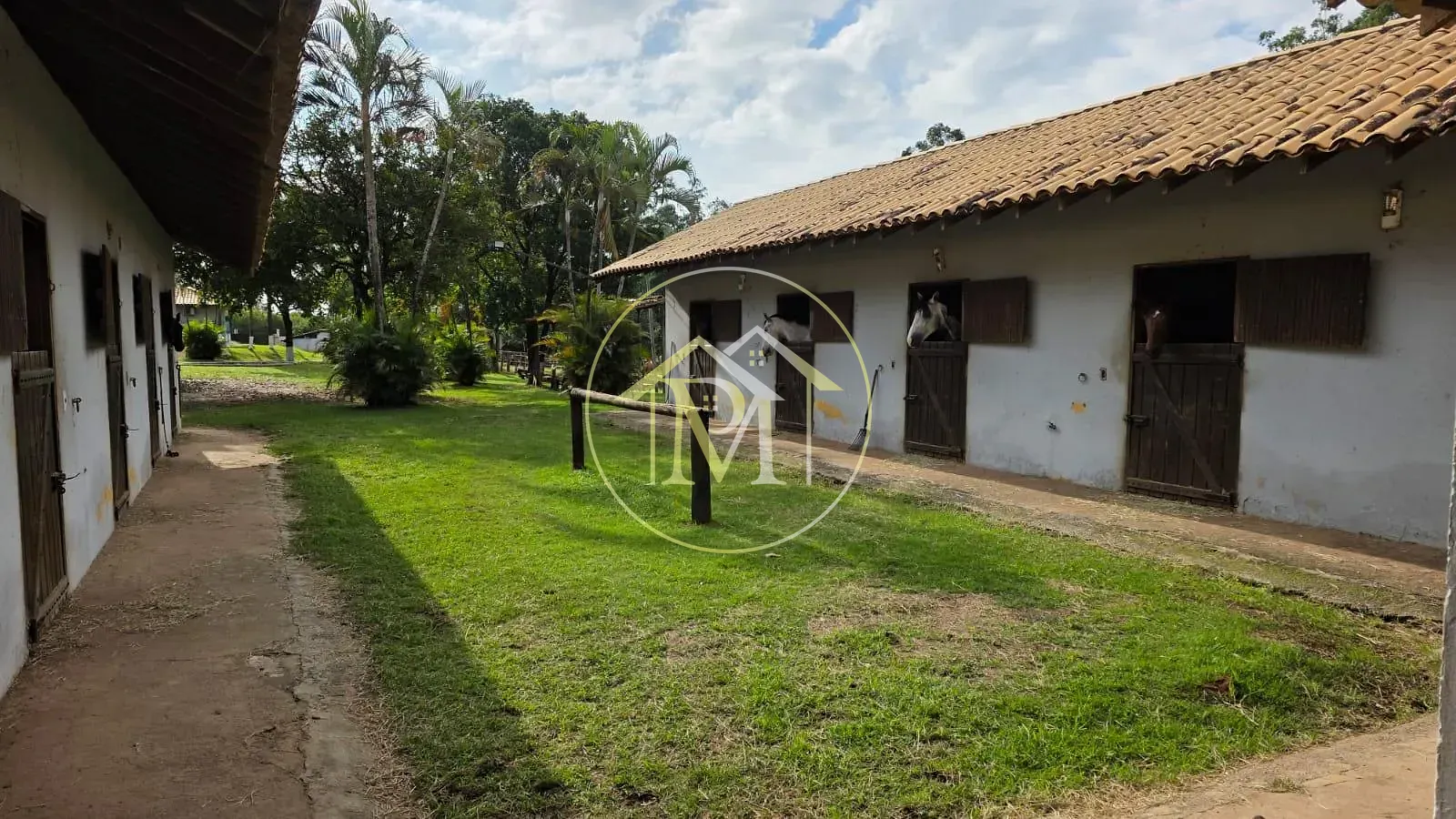 Fazenda, 28 hectares - Foto 21
