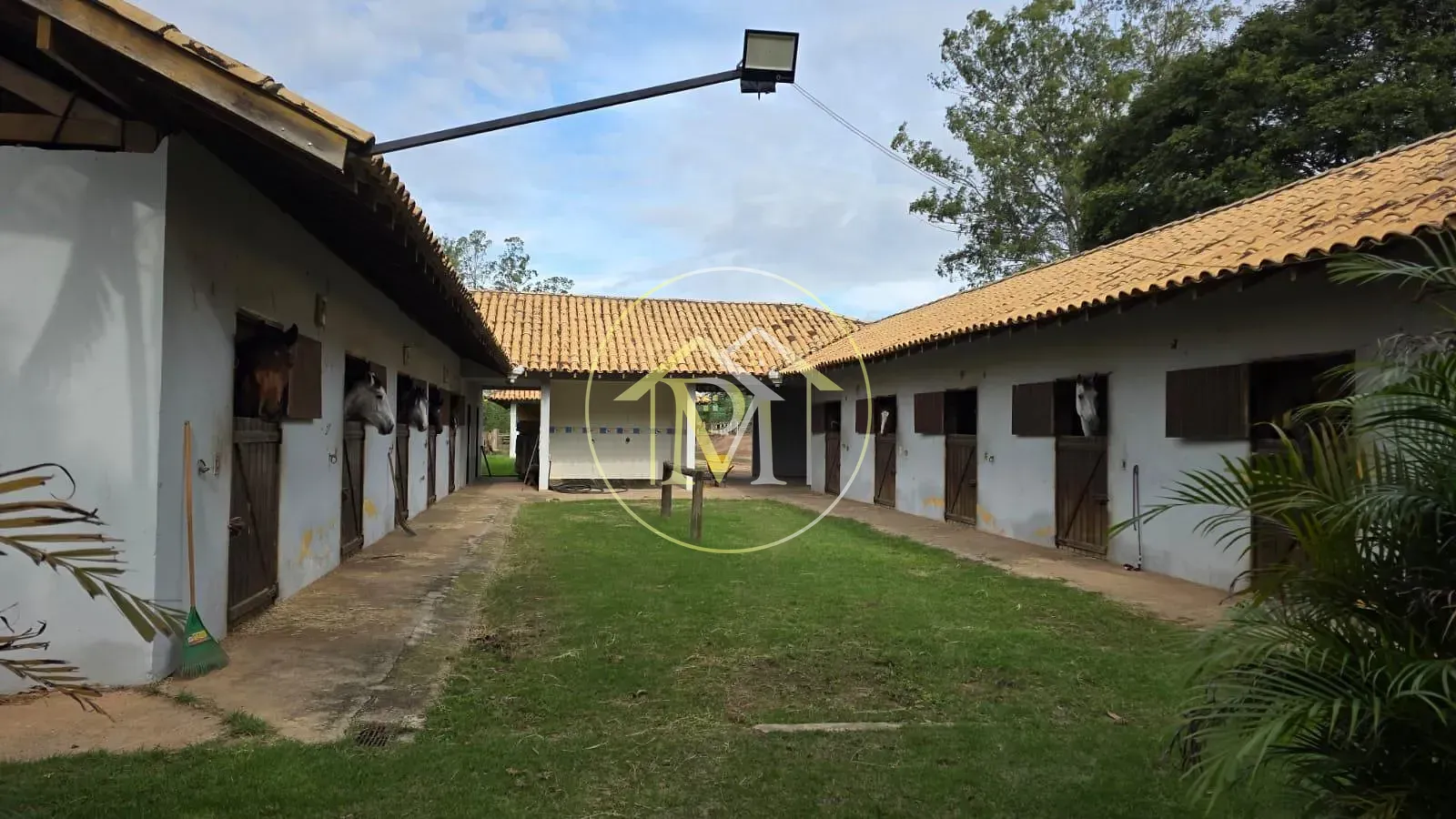 Fazenda, 28 hectares - Foto 1