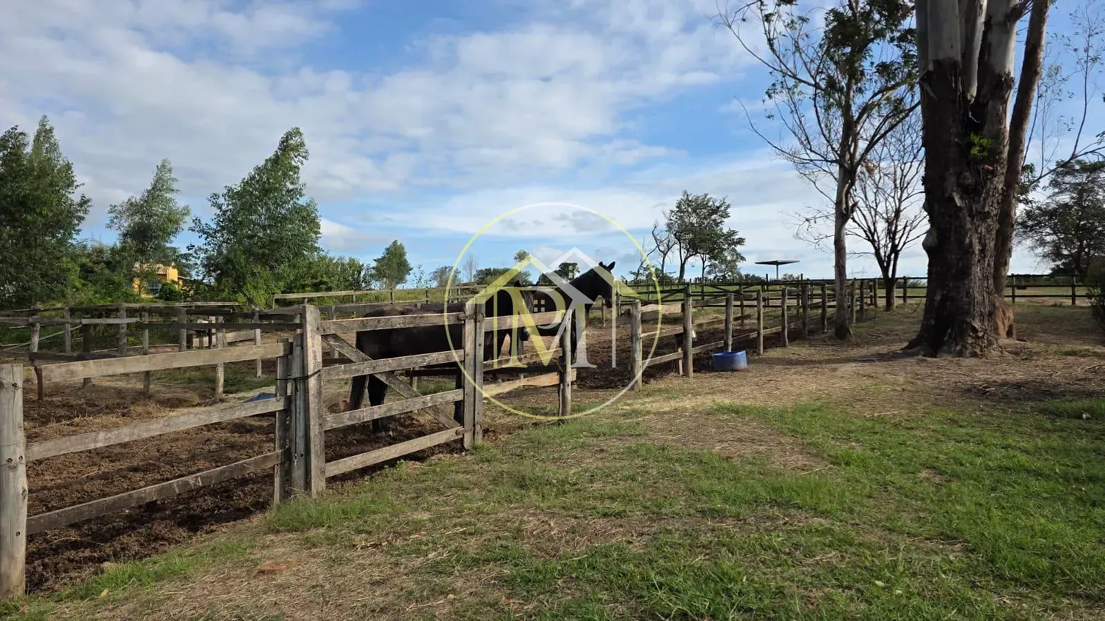Fazenda, 28 hectares - Foto 24