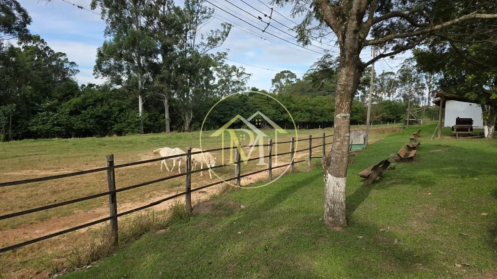 Fazenda, 28 hectares - Foto 27
