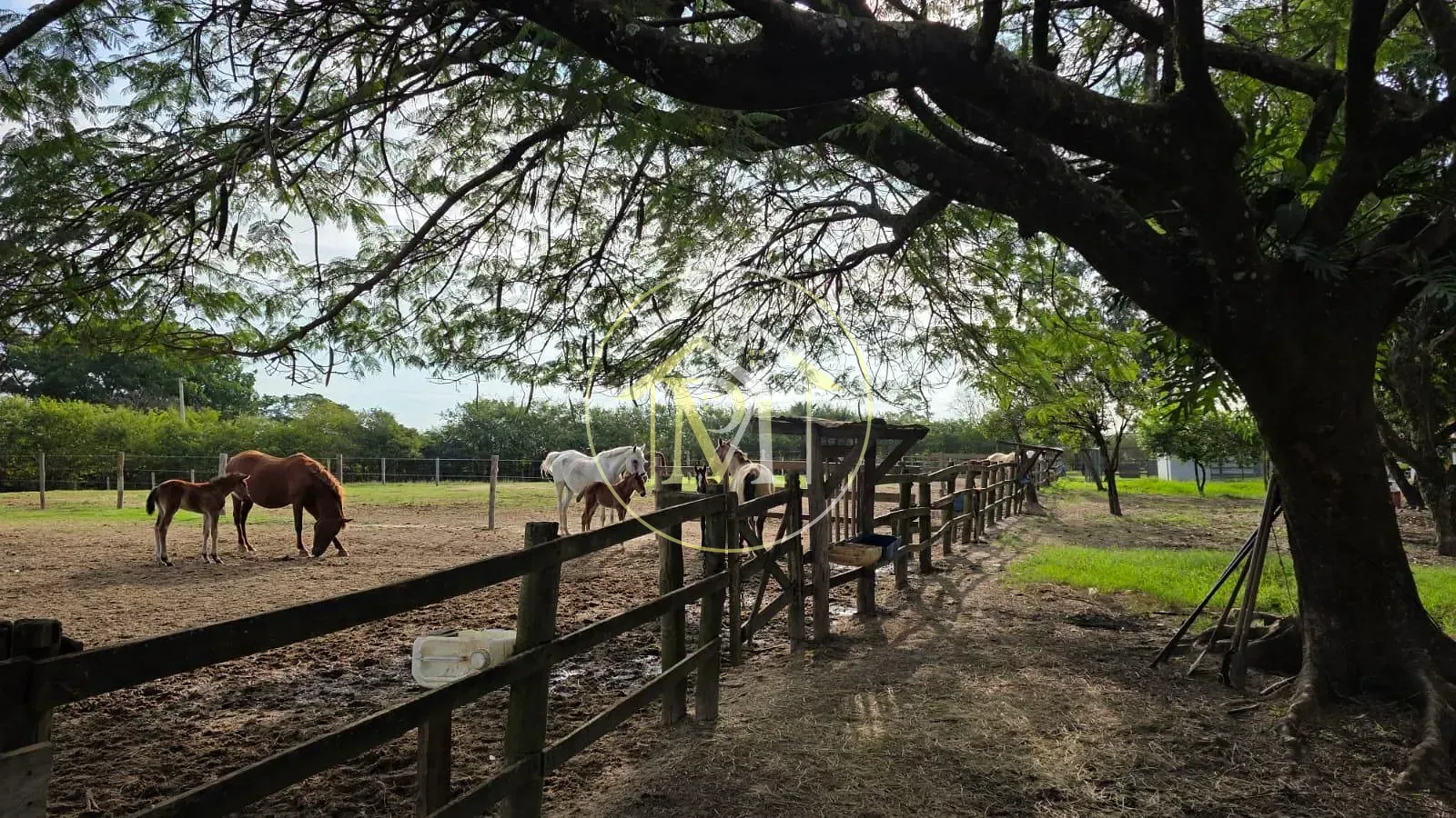 Fazenda, 28 hectares - Foto 29