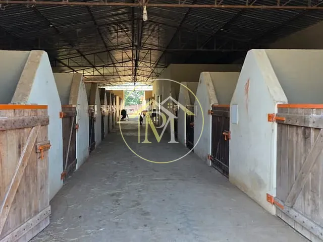 Haras com 30000m² 2 quartos e 2 banheiros, à venda, no bairro Área rural de Porqangaba em Porangaba