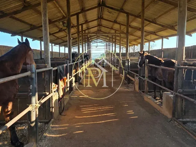 Haras com 130075m² 3 quartos e 5 banheiros, à venda, no bairro Área rural em Porto Feliz