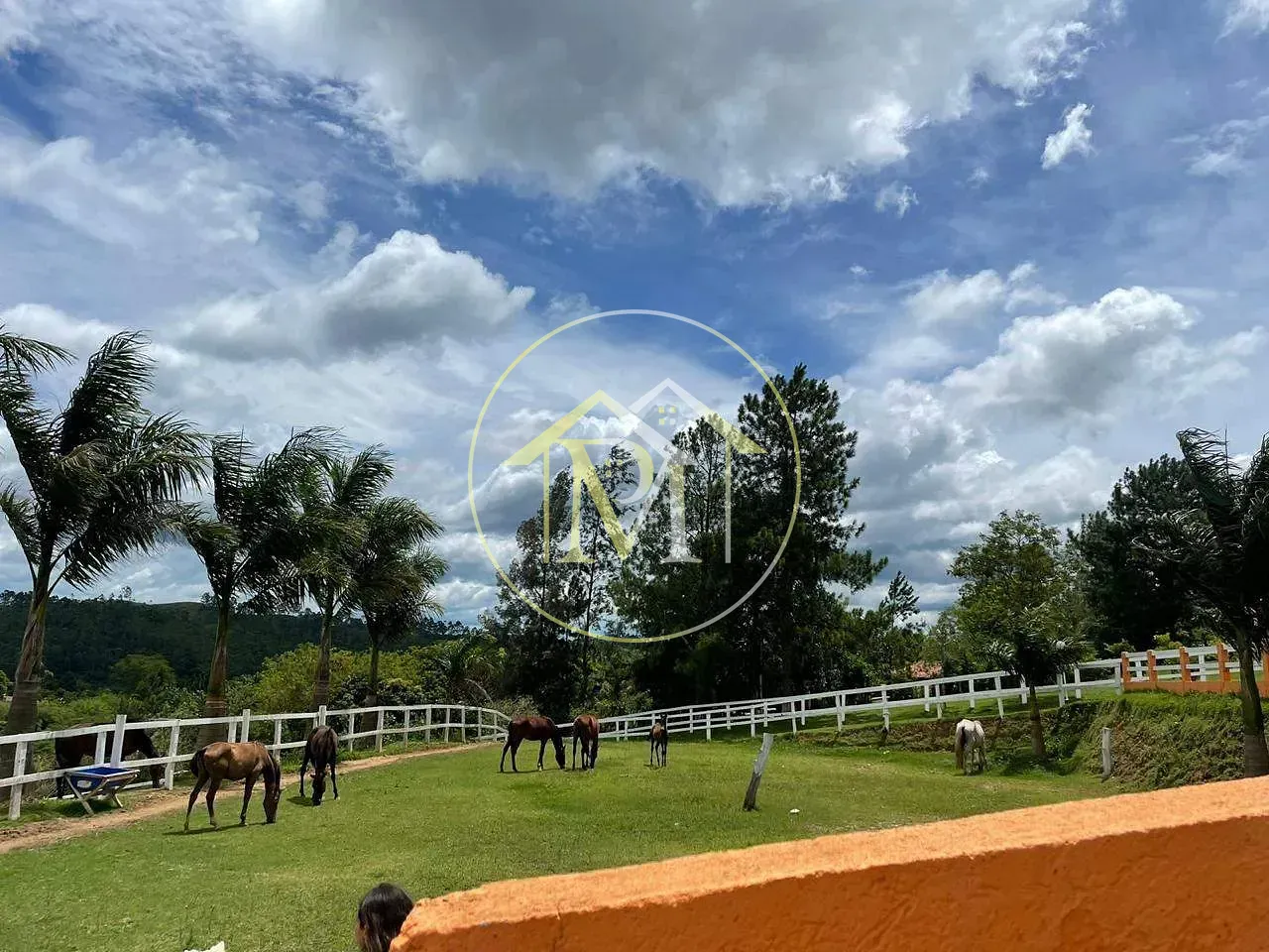 Fazenda, 2 hectares - Foto 23